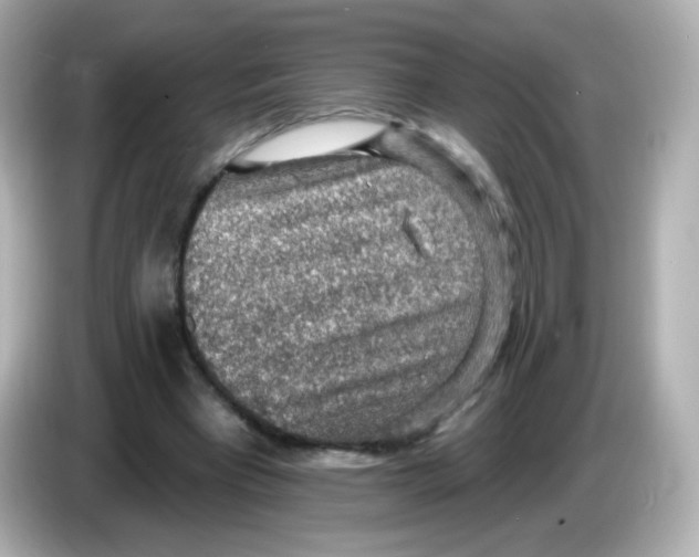 X0000085800393200704091452