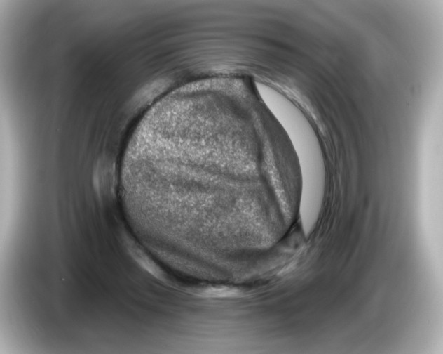 X0000085800397200704091452