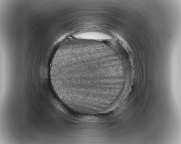 X0000085800399200704091452