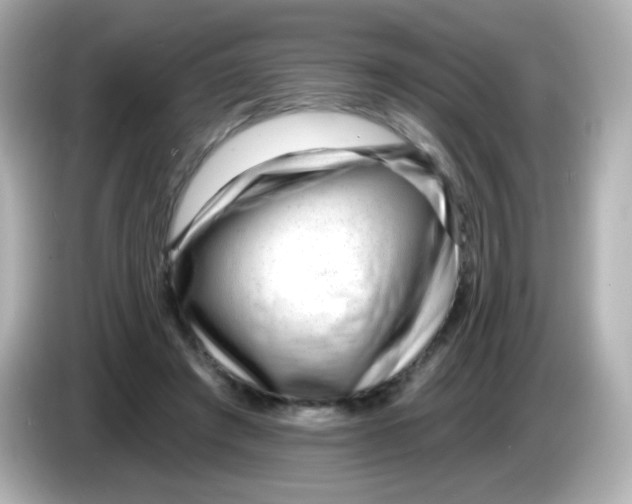 X0000085800401200704091452