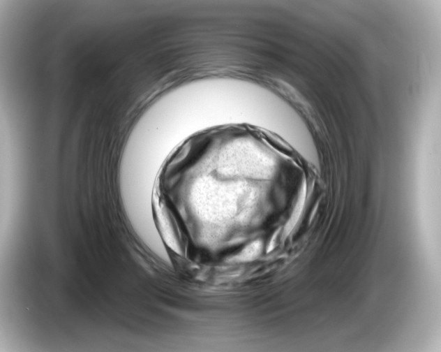 X0000085800405200704091452