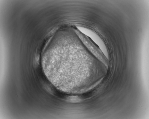 X0000085800406200704091452