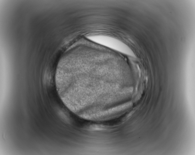 X0000085800408200704091452