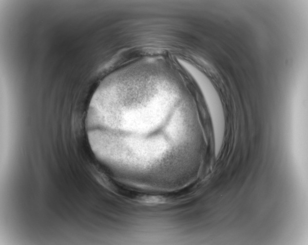 X0000085800409200704091452