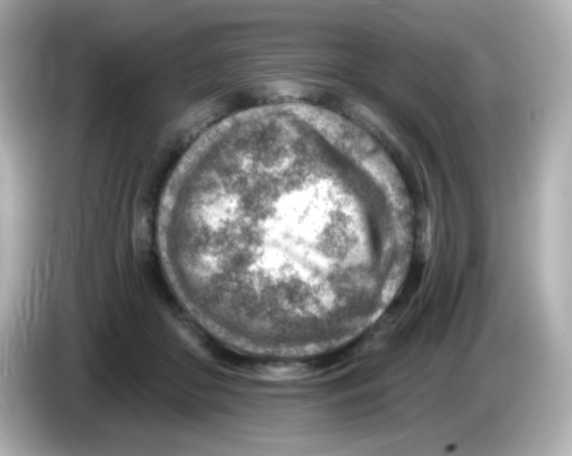 X0000085800410200704091452