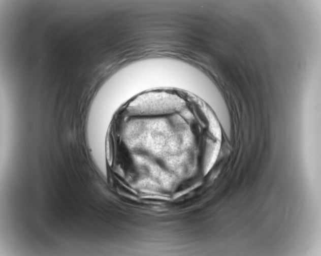 X0000085800411200704091452