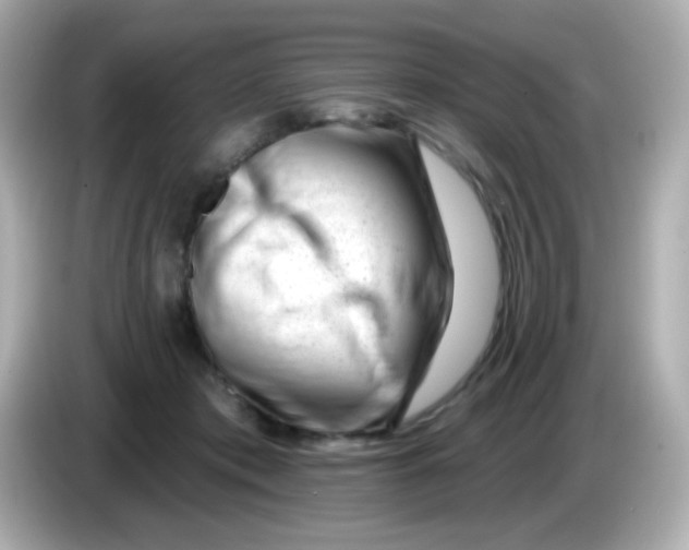 X0000085800413200704091452