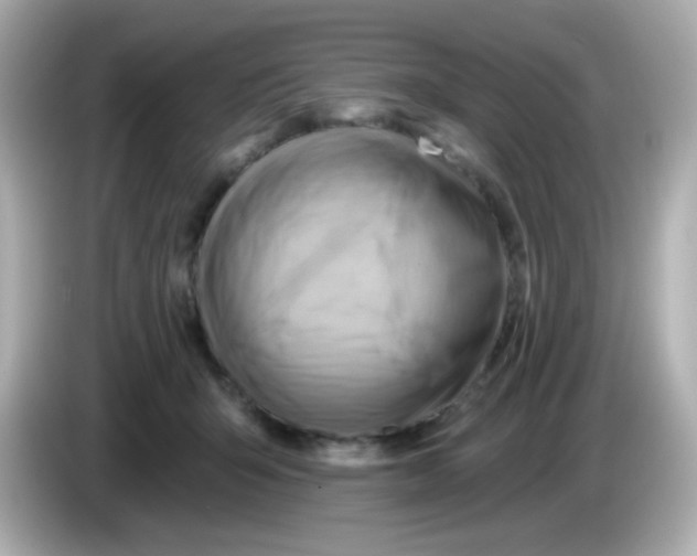 X0000085800415200704091452