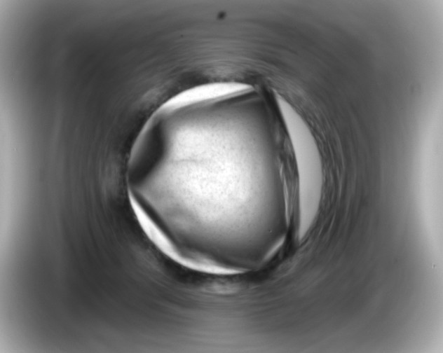 X0000085800416200704091452