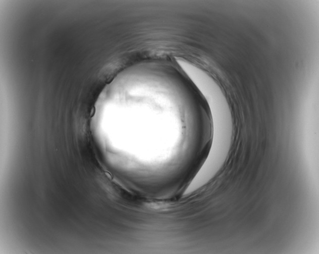 X0000085800417200704091452