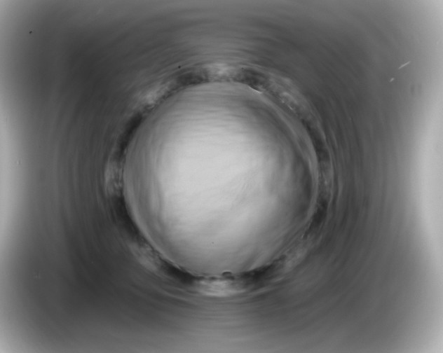 X0000085800419200704091452