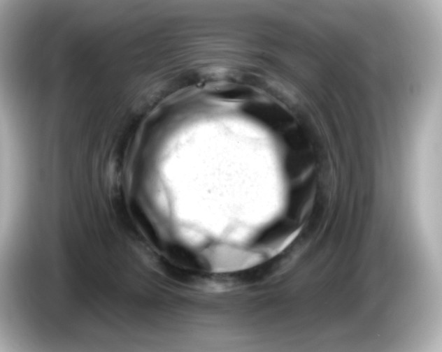 X0000085800420200704091452