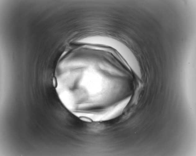 X0000085800421200704091452