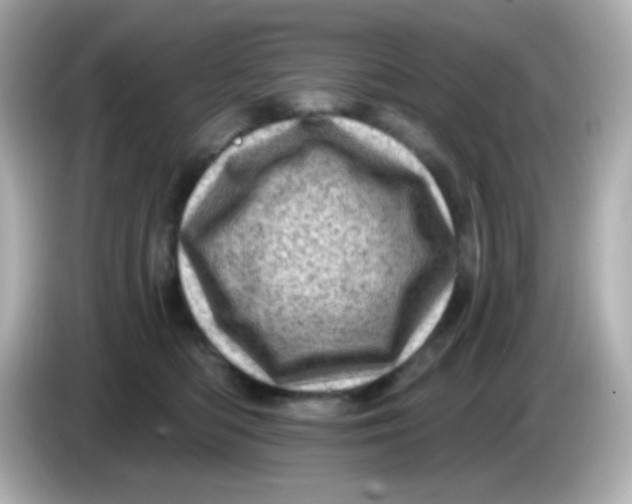 X0000085800422200704091452