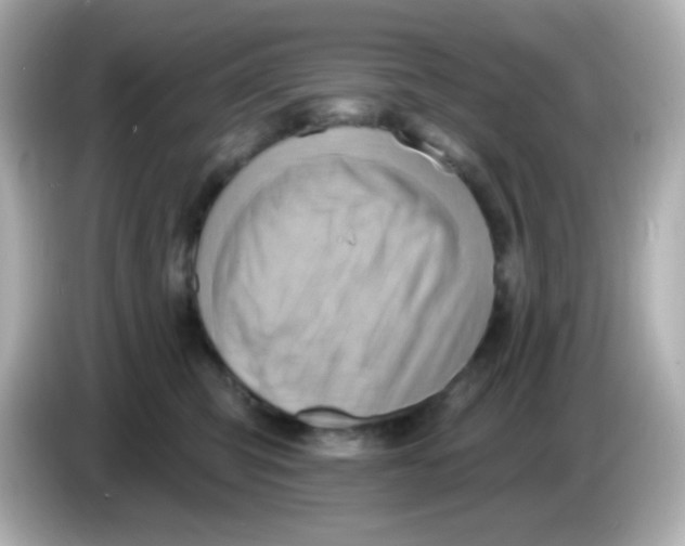 X0000085800423200704091452