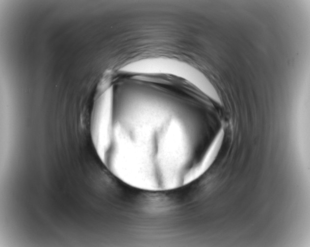 X0000085800424200704091452