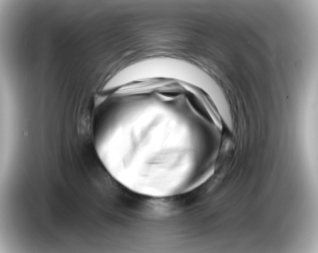 X0000085800425200704091452