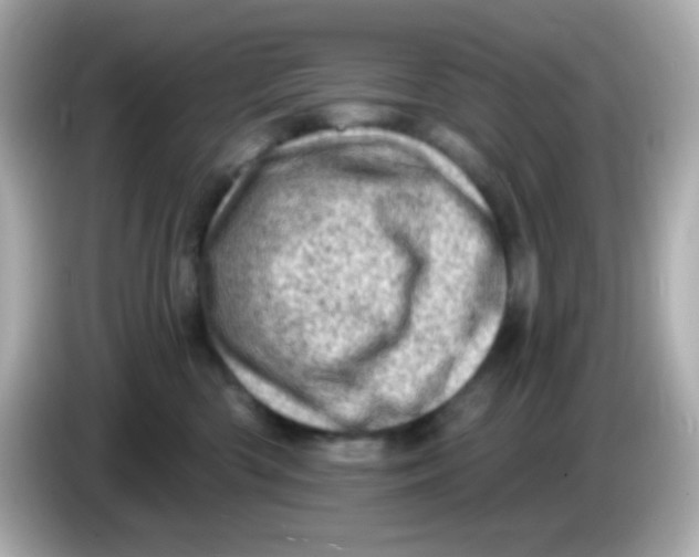 X0000085800426200704091452