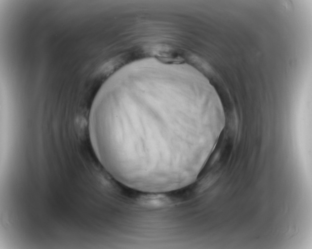 X0000085800427200704091452