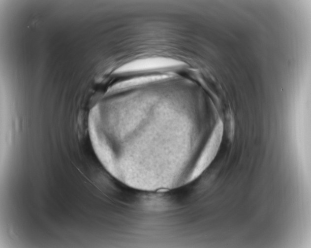 X0000085800428200704091452