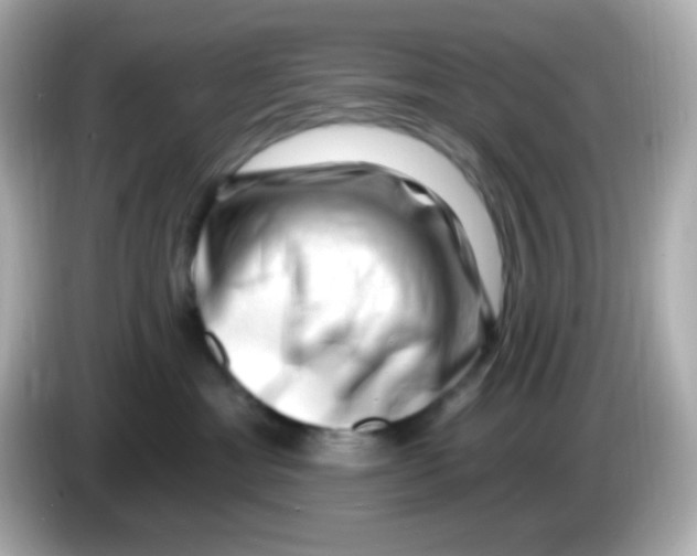 X0000085800429200704091452