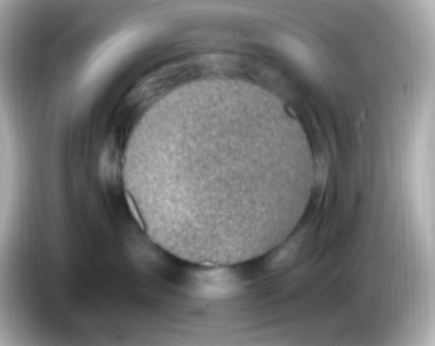 X0000085800431200704091452