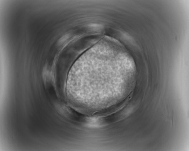 X0000085800432200704091452