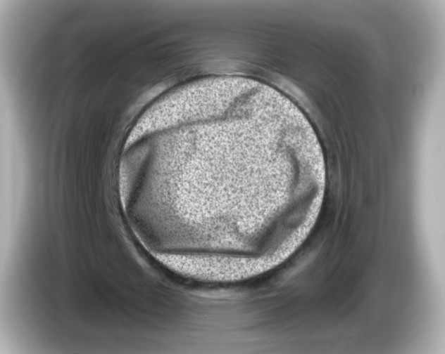 X0000085800433200704091451