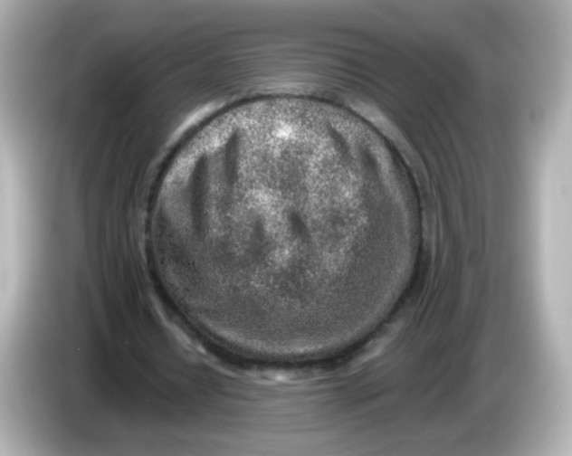 X0000085800434200704091451