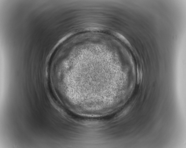 X0000085800435200704091451