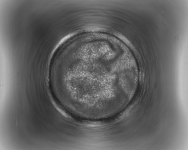 X0000085800438200704091451