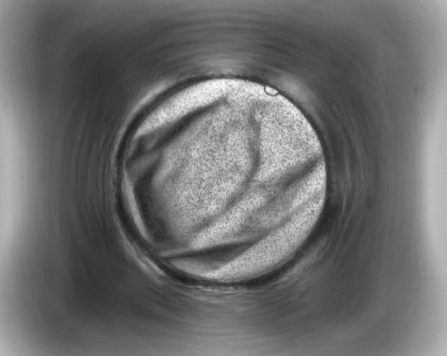 X0000085800439200704091451