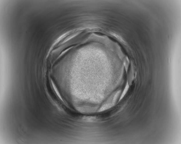 X0000085800440200704091451