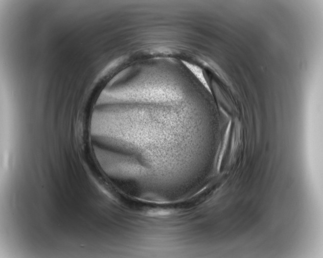 X0000085800444200704091451