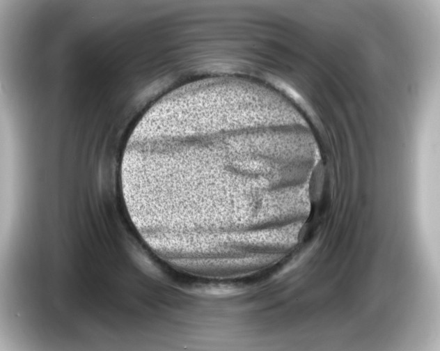 X0000085800445200704091451