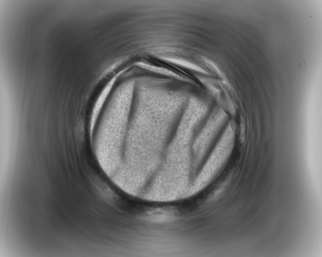 X0000085800447200704091452