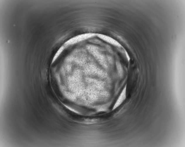 X0000085800450200704091452