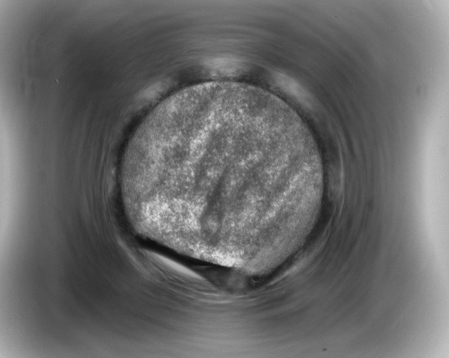 X0000085800451200704091452