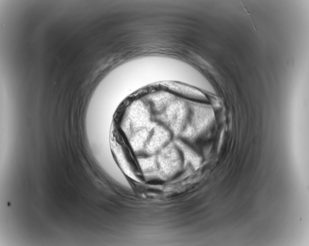 X0000085800452200704091452