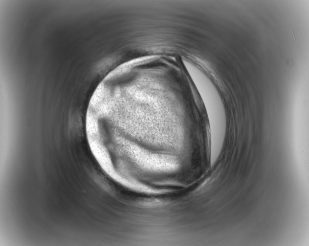 X0000085800453200704091452