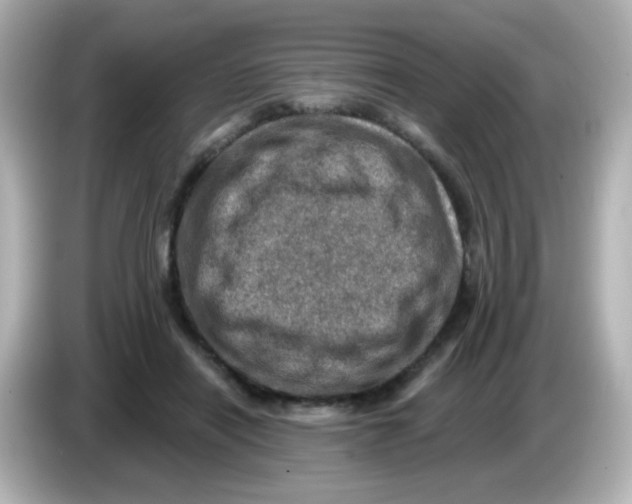 X0000085800454200704091452