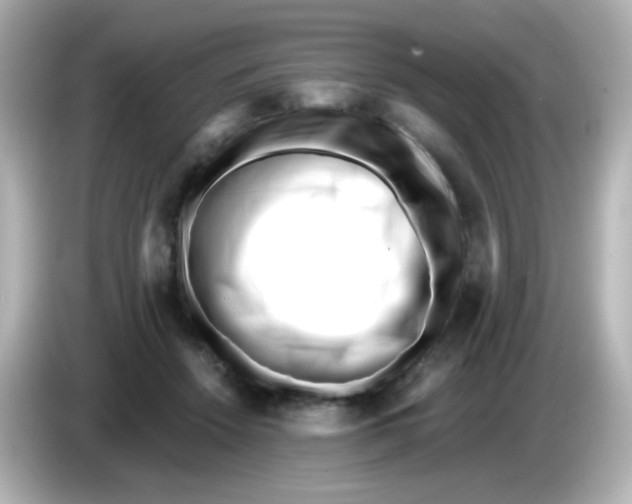 X0000085800456200704091452