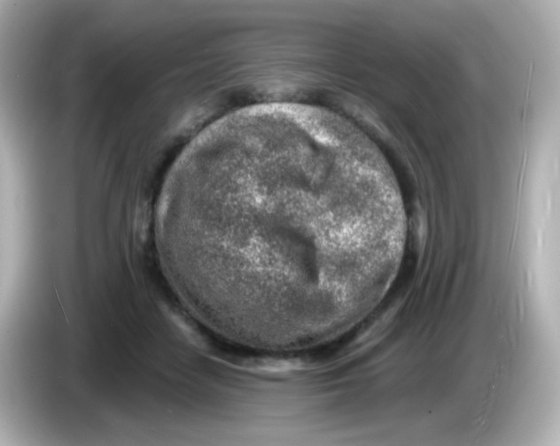 X0000085800458200704091452