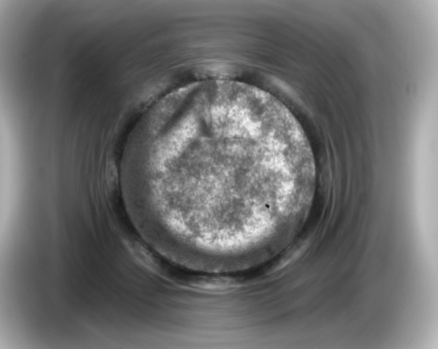 X0000085800459200704091452