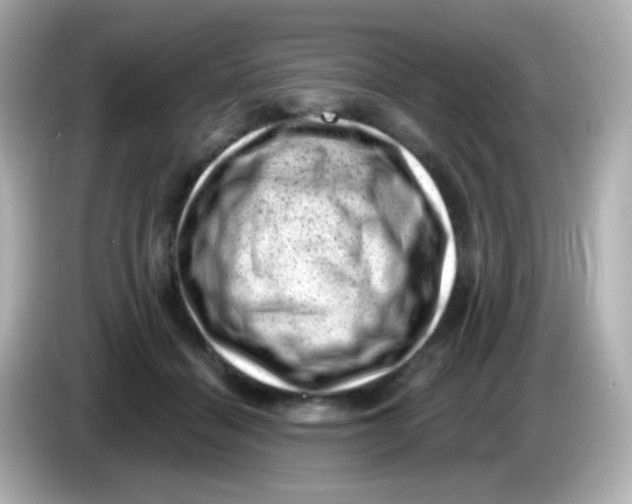 X0000085800460200704091452