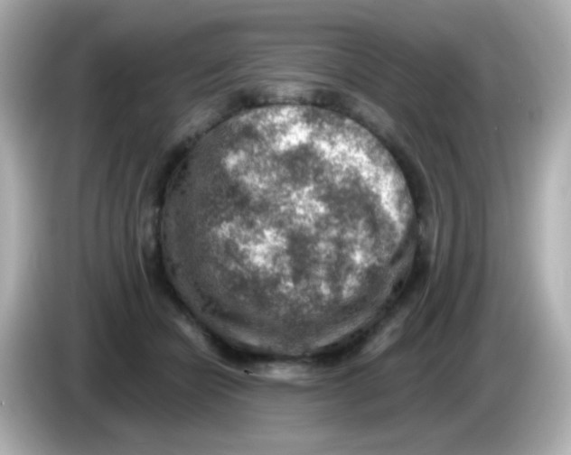 X0000085800462200704091452