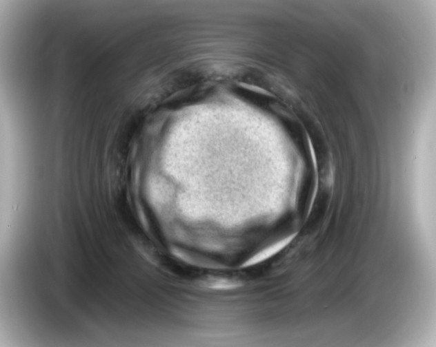 X0000085800464200704091452