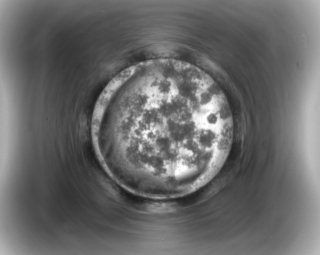 X0000085800465200704091452