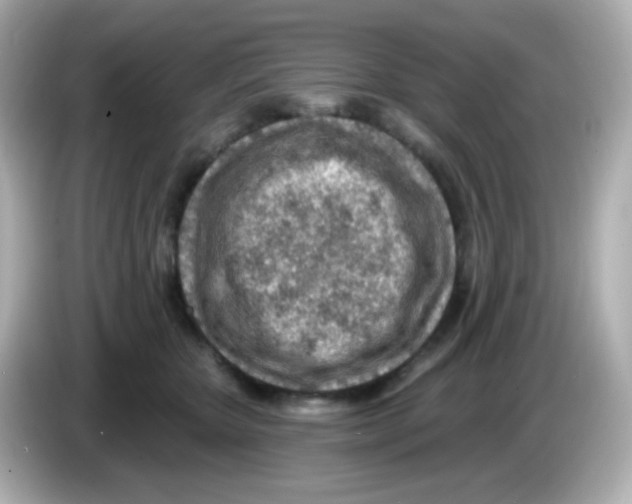 X0000085800467200704091452