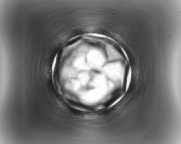 X0000085800470200704091452